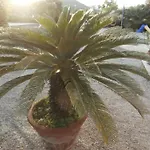 Mit Wasserblick By Interhome * Каполивери