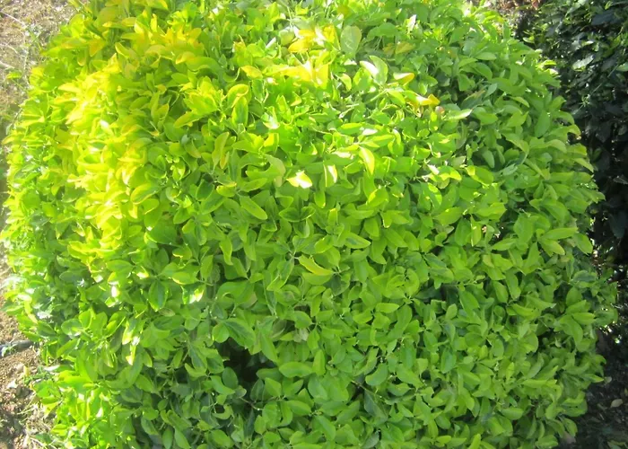 Mit Wasserblick By Interhome