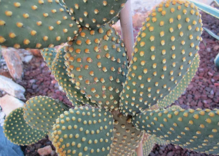 Mit Wasserblick By Interhome Appartement *