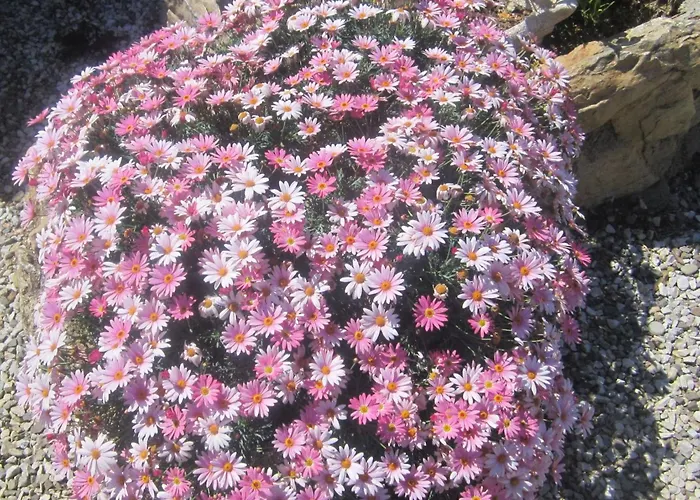 Mit Wasserblick By Interhome Appartement *