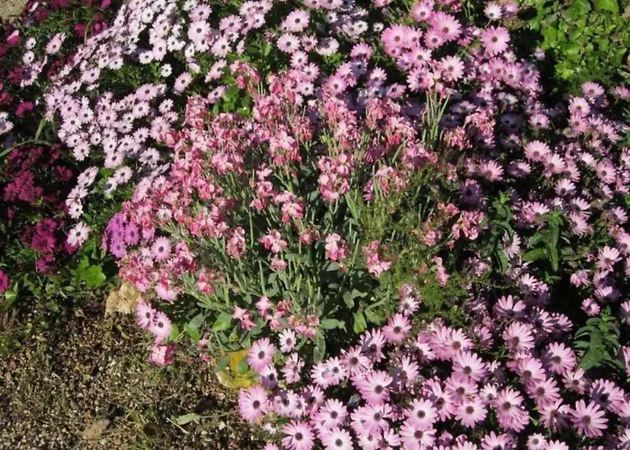 Appartement Mit Wasserblick By Interhome *